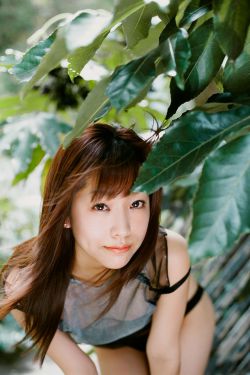 纯情房东俏房客攻略