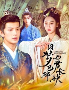 旧梦已碎，与君长诀＆终是深情错付君